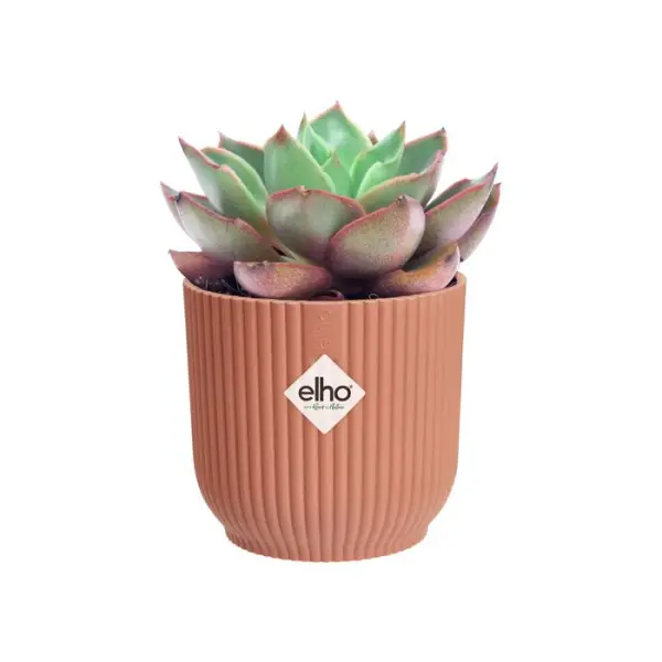 Cache-pot "Vibes fold", coloris rose poudré - D.11cm