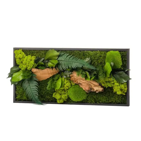 Cadre végétal stabilisé Canopé Rectangle