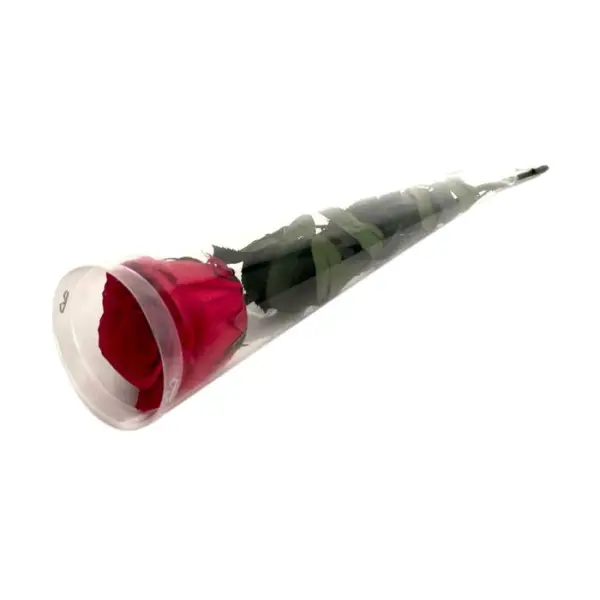 Rose stabilisée rouge