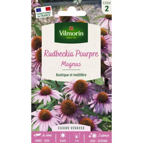 Rudbeckia Pourpre Magnus 1 g