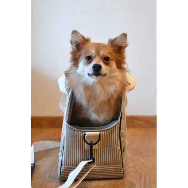 Sac de transport Tennis beige 45x18x30 cm