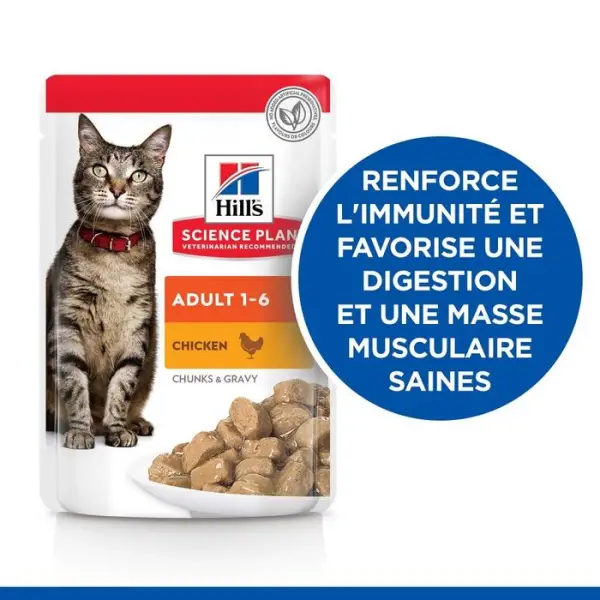 Sachet chat Adulte multipack 12 x 85g