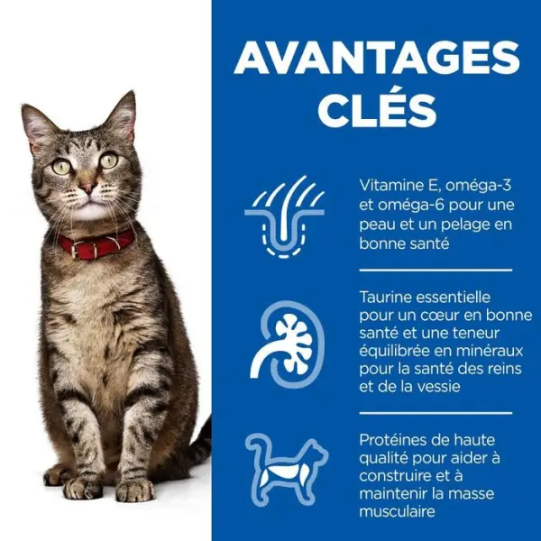 Sachet chat Adulte multipack 12 x 85g