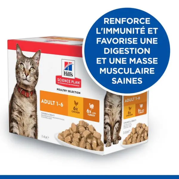Sachet chat Adulte multipack Dinde et poulet 12 x 85g