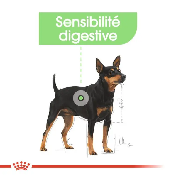Sachet Digestive Care mousse chien à sensibilité digestive - 85 g x 12