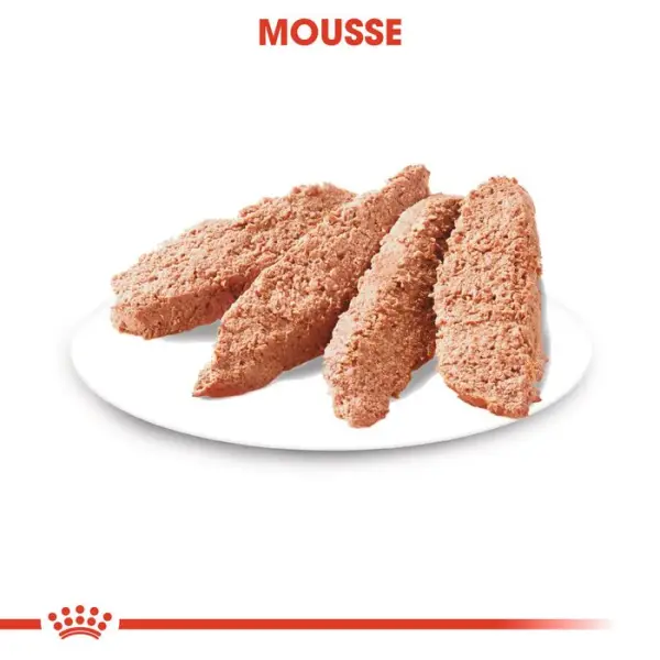 Sachet Exigent en mousse pour chien à l'appétit difficile - 85 g x 12