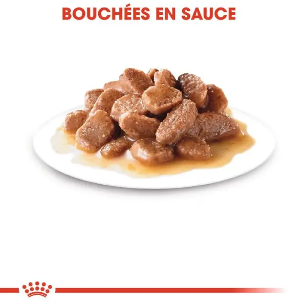 Bouchées en sauce pour chat Adulte Instinctive 12x85g
