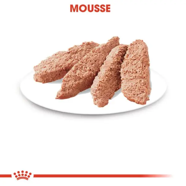 Mousse chat Adulte de 1 à 7 ans Instinctive 12x85g