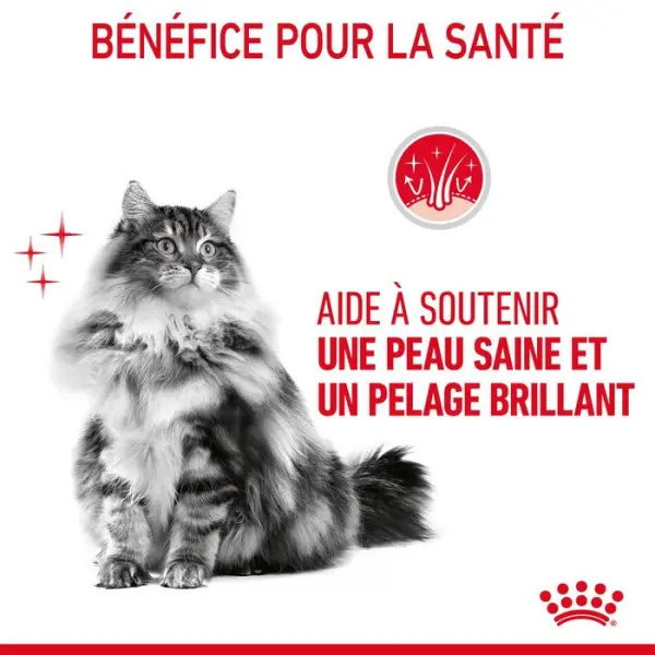 Bouchées sauce chat soin du poil et peau Hair&Skin 12x85g