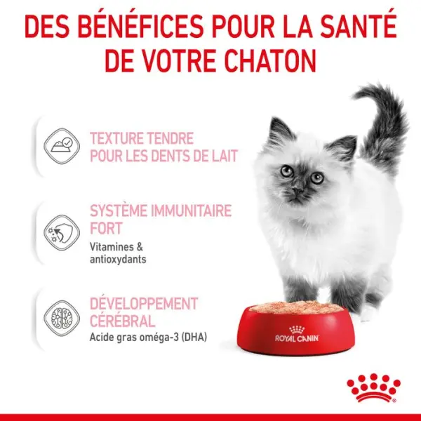 Mousse chaton Kitten de 4 à 12 mois 12x85g