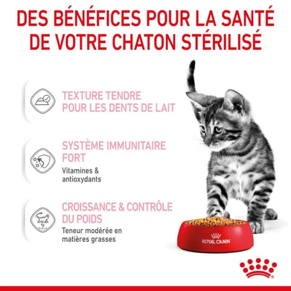 Gelée chaton Sterilised 6 à 12 mois Kitten Sterilised 12x85g
