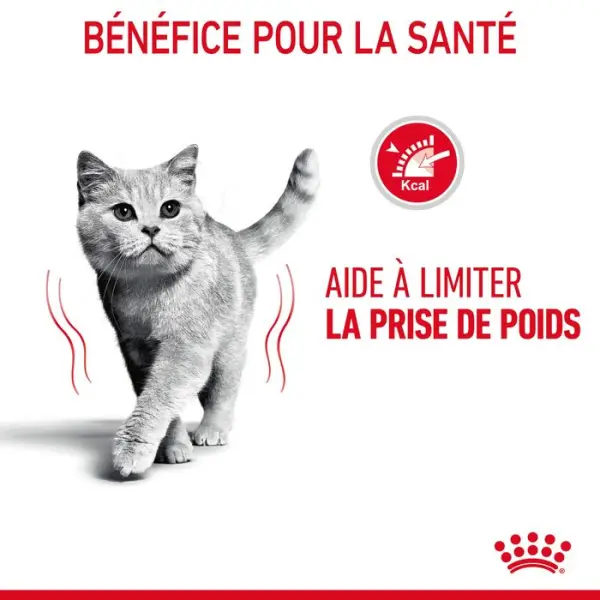Bouchées sauce chat limite prise du poids Light Weight 12x85g