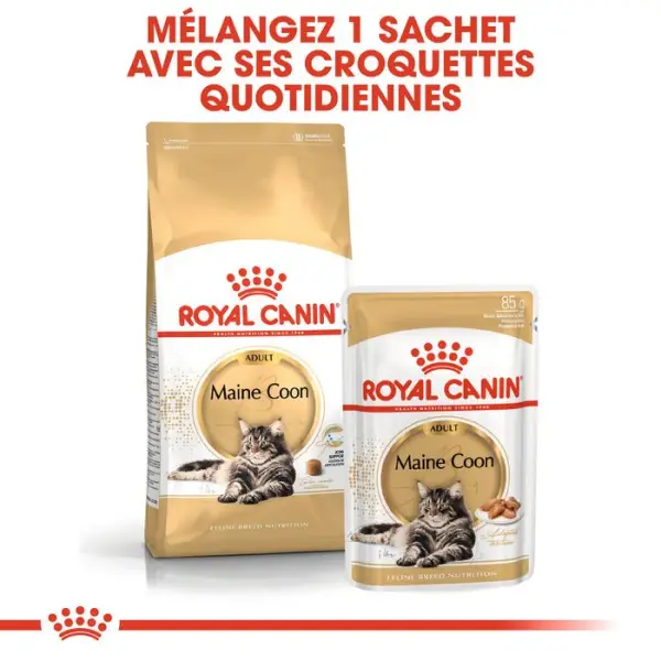 Mousse chat Maine Coon Adulte 12x85g