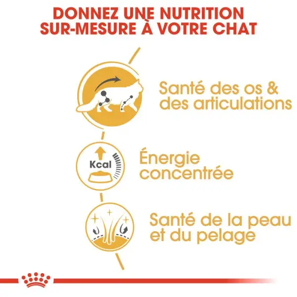 Mousse chat Maine Coon Adulte 12x85g