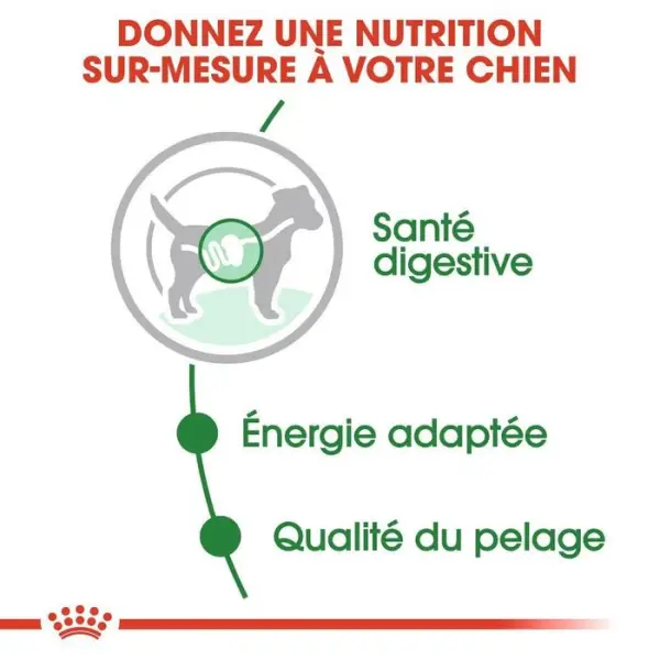 Sachet Mini mousse pour chien petite taille 10 mois-8 ans - 85 g x 12