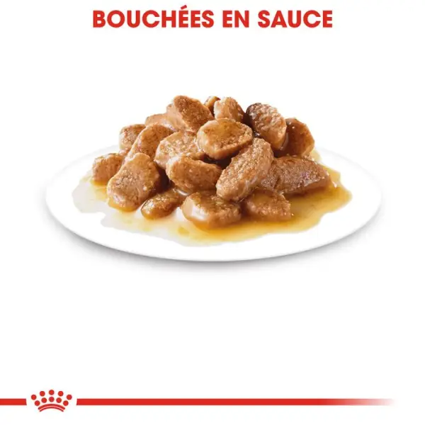 Sachet Mini mousse pour chien petite taille 10 mois-8 ans - 85 g x 12