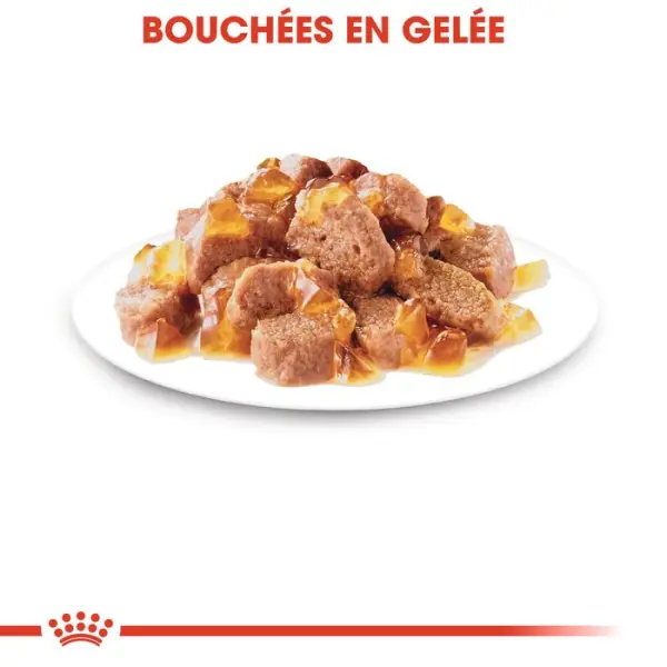 Gelée chat stérilisé de 1 à 7 ans Sterilised 12x85g