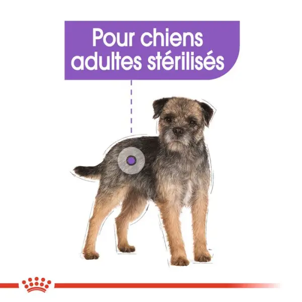 Sachet Sterilized en mousse pour chien stérilisé - 85 g x 12