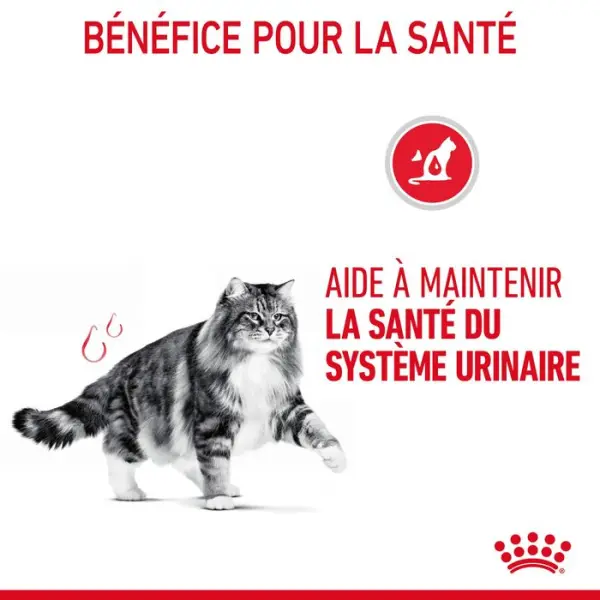 Bouchées en sauce chat Adulte santé urinaire Urinary 12x85g