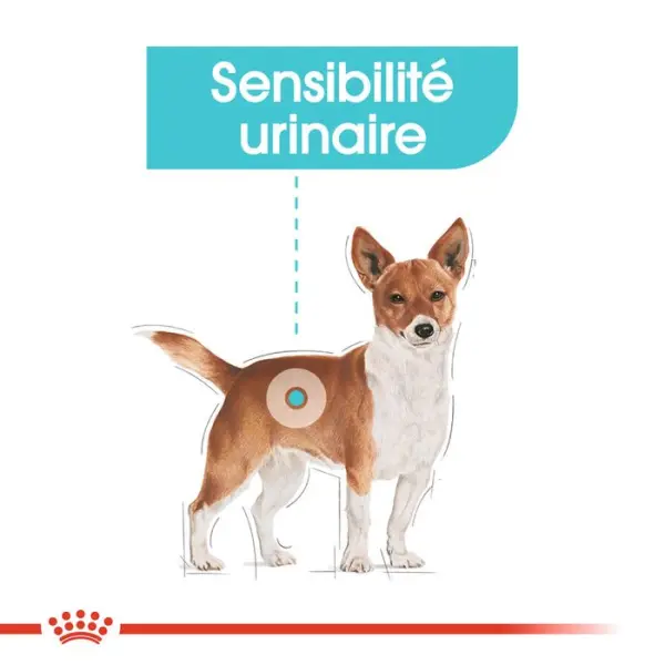 Sachet Urinary Care en mousse pour chien à sensibilité urinaire - x 12