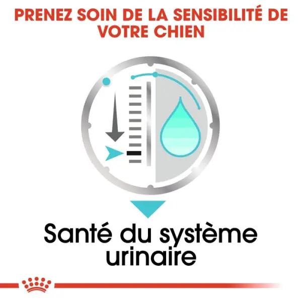 Sachet Urinary Care en mousse pour chien à sensibilité urinaire - x 12