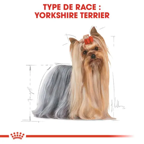 Sachet Royal Canin spécial yorkshire terrier en mousse - 12x85 g