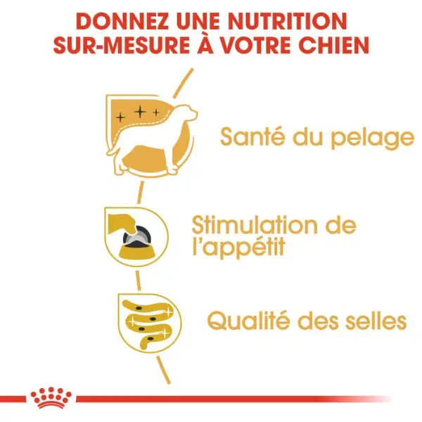 Sachet Royal Canin spécial yorkshire terrier en mousse - 12x85 g