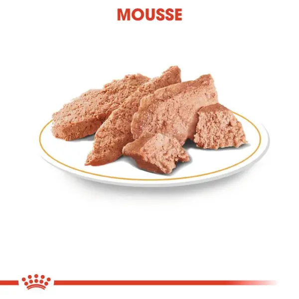 Sachet Royal Canin spécial yorkshire terrier en mousse - 12x85 g