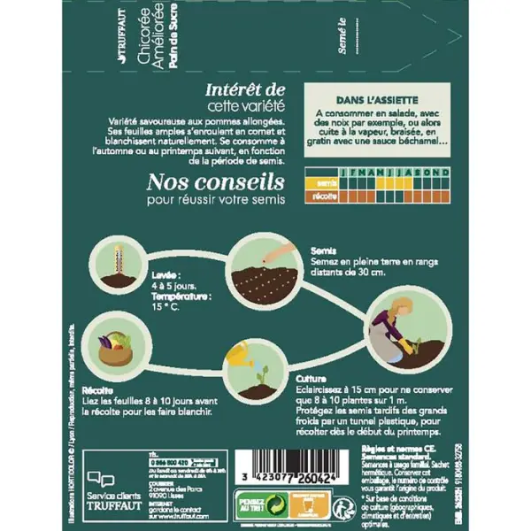 Graines de chicorée à feuilles améliorées pain de sucre en sachet