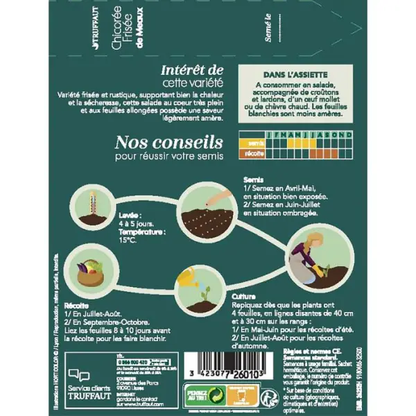 Graines de chicorée frisee de Meaux en sachet