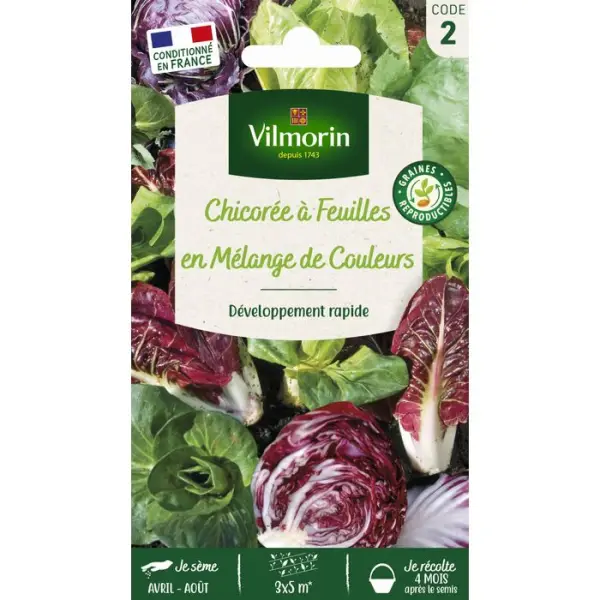 Graines de chicorée Sauvage en Mélange en sachet