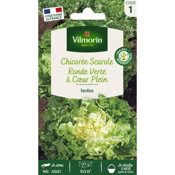 Graines de chicorée scarole + échantillon scarole Maruchka en sachet