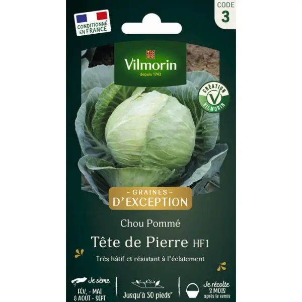 Graines de chou CabusTete de pierre Hybride F1 en sachet