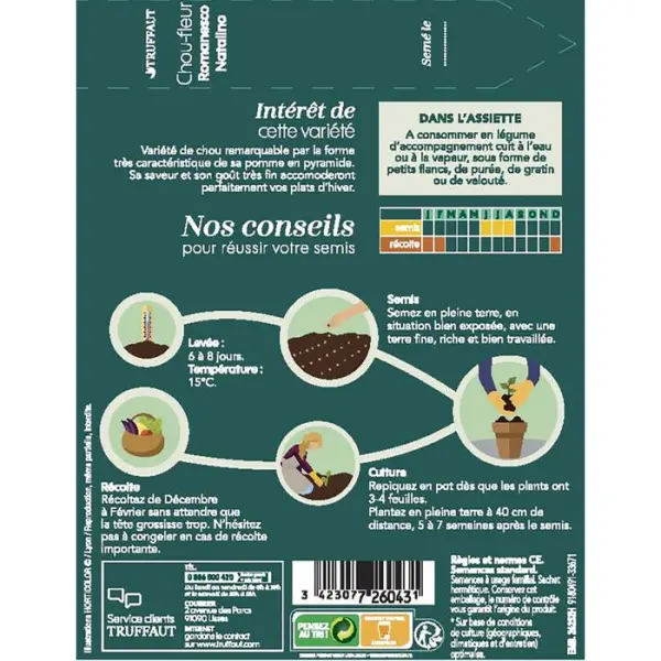 Graines de chou fleur romanesco en sachet