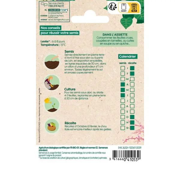 Graines de Chou Frisé (Kale) Westlandse Winter Bio