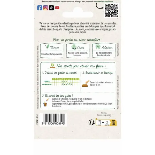 Chrysanthème Grande marguerite Margo : en sachet