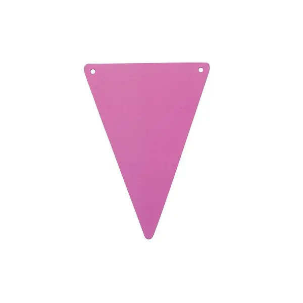 5 Fanions en Carton Unis - Fuchsia