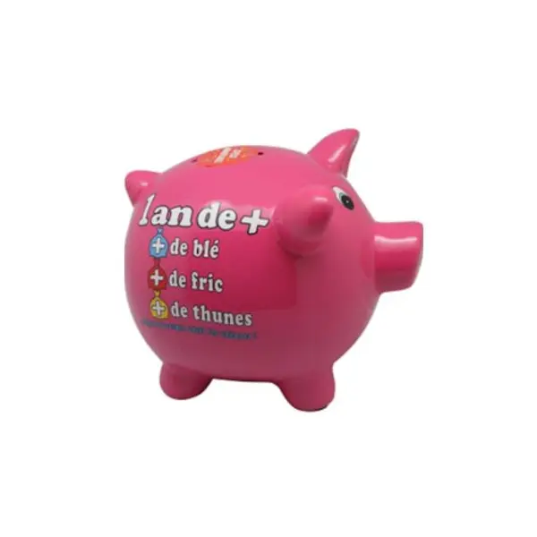 Tirelire Cochon Anniversaire - 1 An de Plus