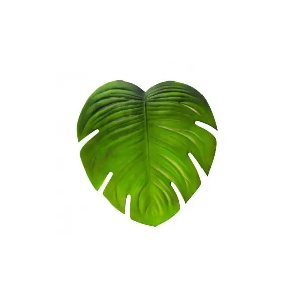 Grande Feuille Tropicale - Monstera