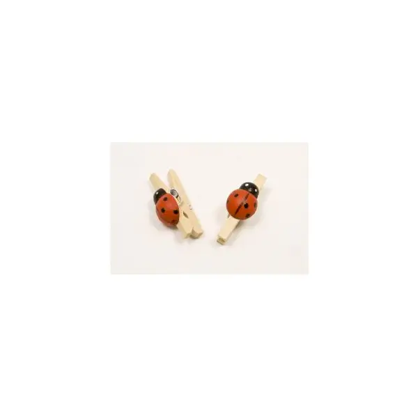 12 Pinces en Bois Coccinelle