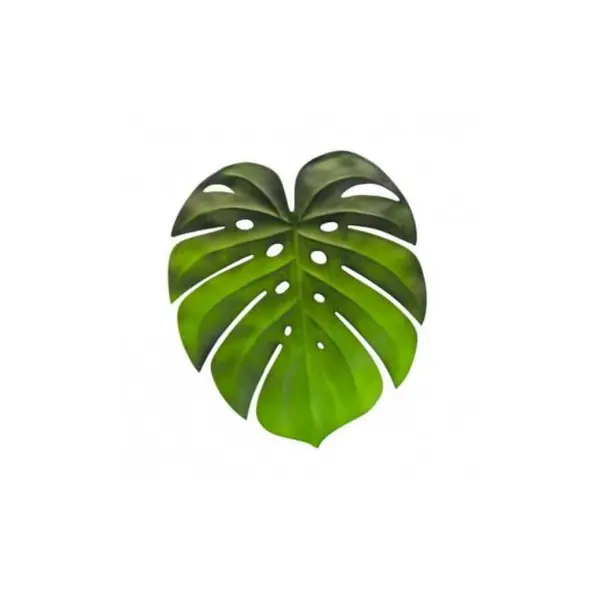 Set de table - Feuille tropicale Monstera