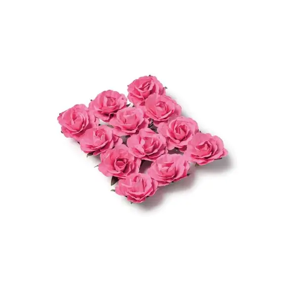 12 Roses Fuchsias sur Tige