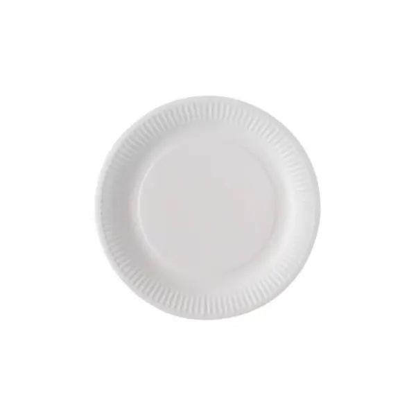 100 Grandes Assiettes Biodégradables - 23 cm
