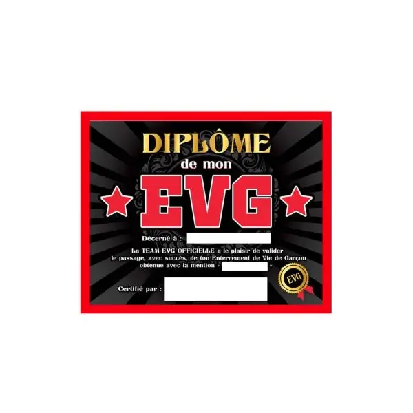 Cadre Diplôme de mon Enterrement de Vie de Garçon