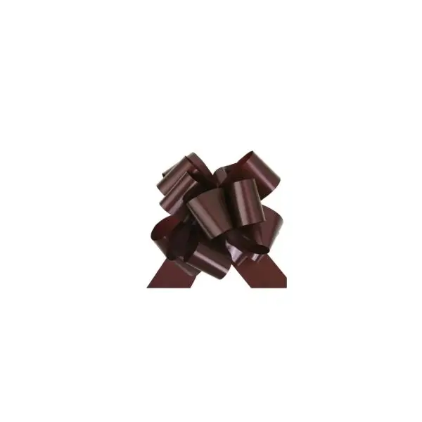 10 Grands Noeuds Automatiques - Chocolat