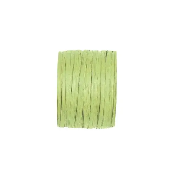 Bobine de Raphia Papier Vert Amande
