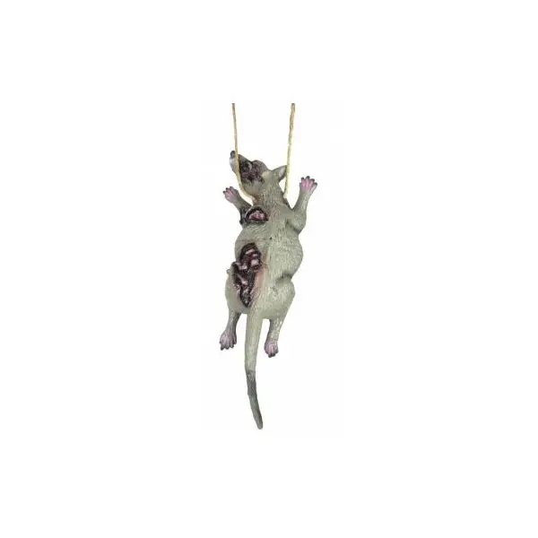 Collier Rat Enragé