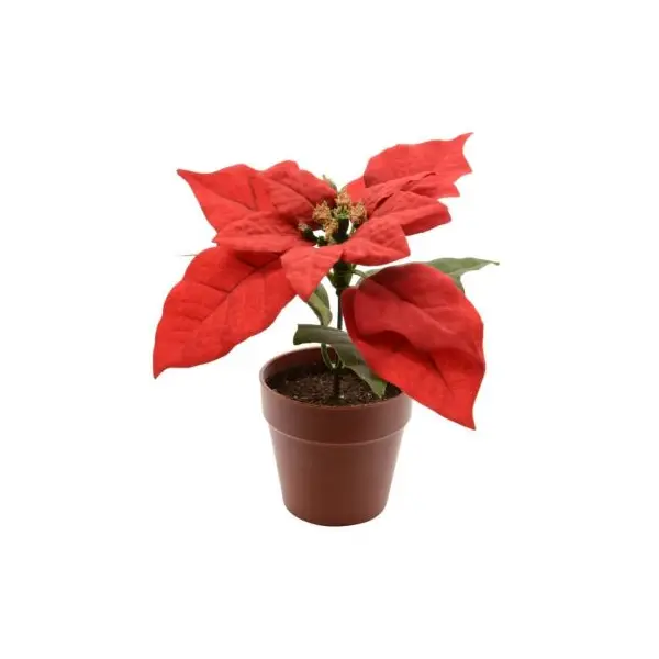 Décoration à Poser Noël - Poinsettia dans un Pot