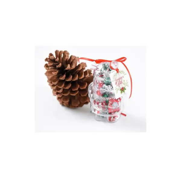Boîte transparente de Père Noël