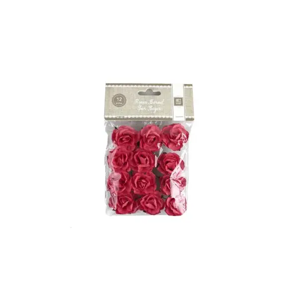 12 Roses Corail sur Tige
